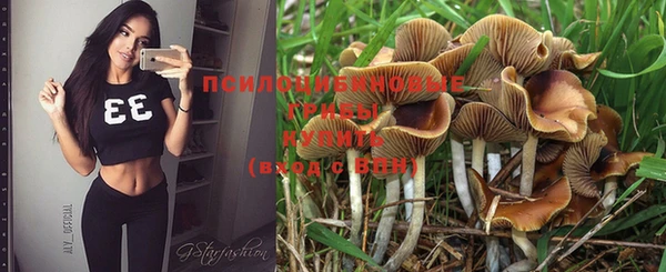 хмурый Абинск